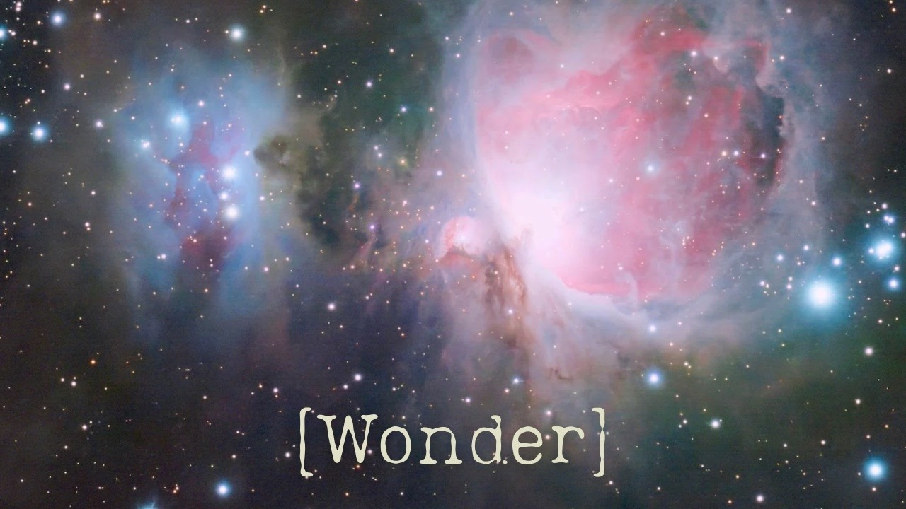 WONDER | Lean In | Tara Smith