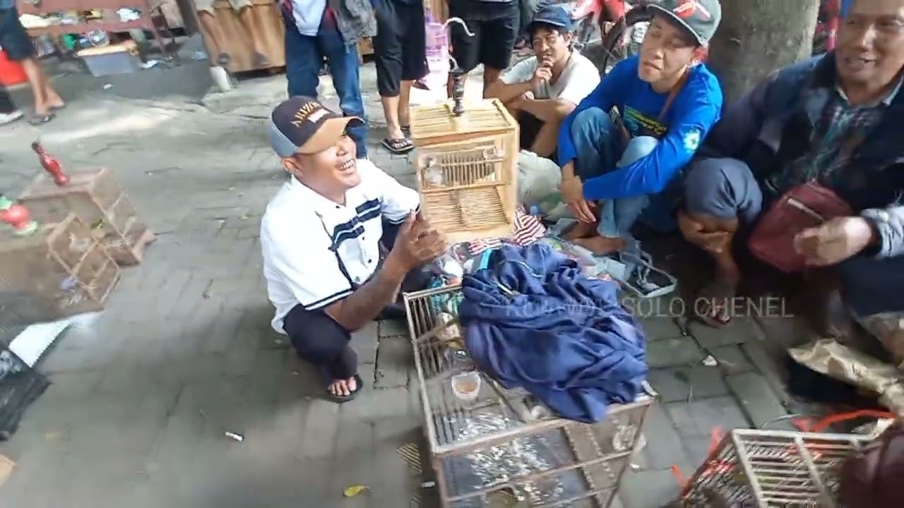 PASAR BURUNG JAWA TERBARU! | Harga Burung Murah & Cantik