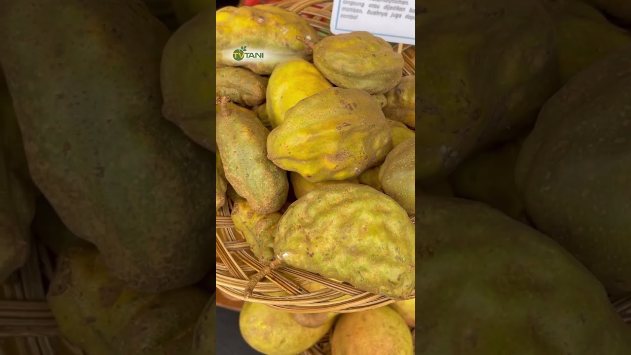 4 Buah Langka Asli Indonesia