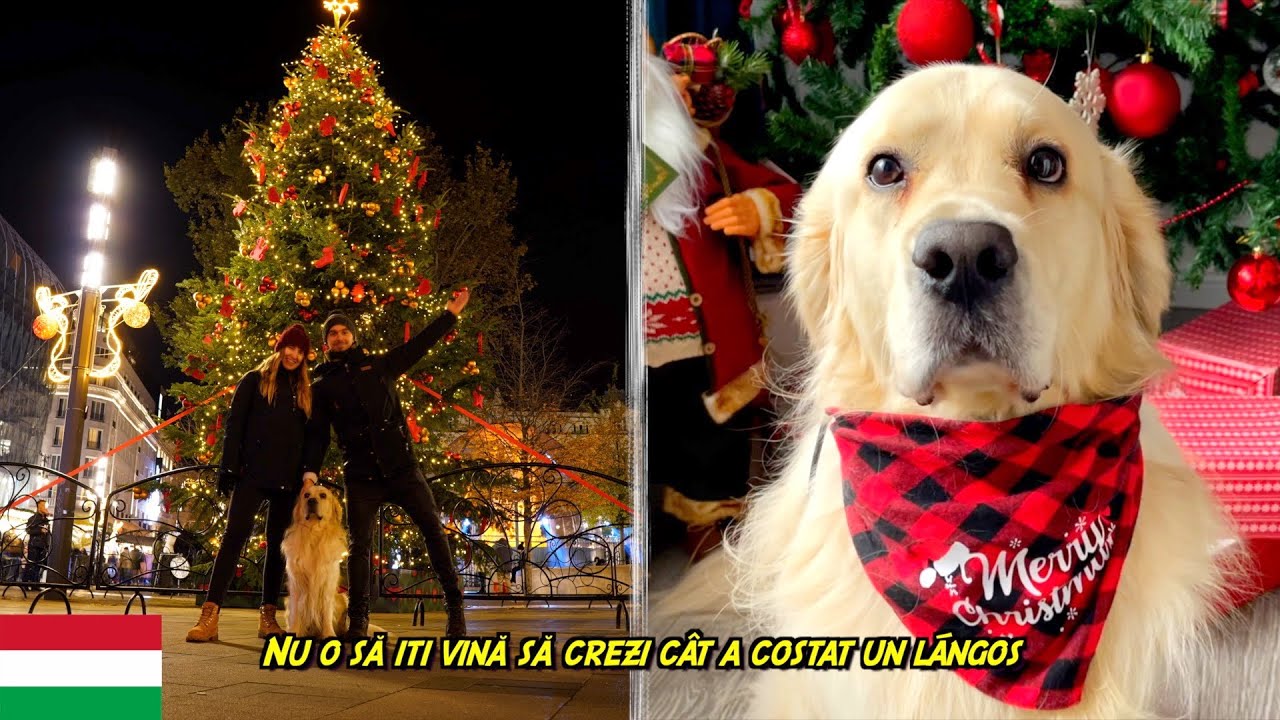 Am mers cu cățelul nostru la Târgul de Crăciun din BUDAPESTA 🇭🇺
