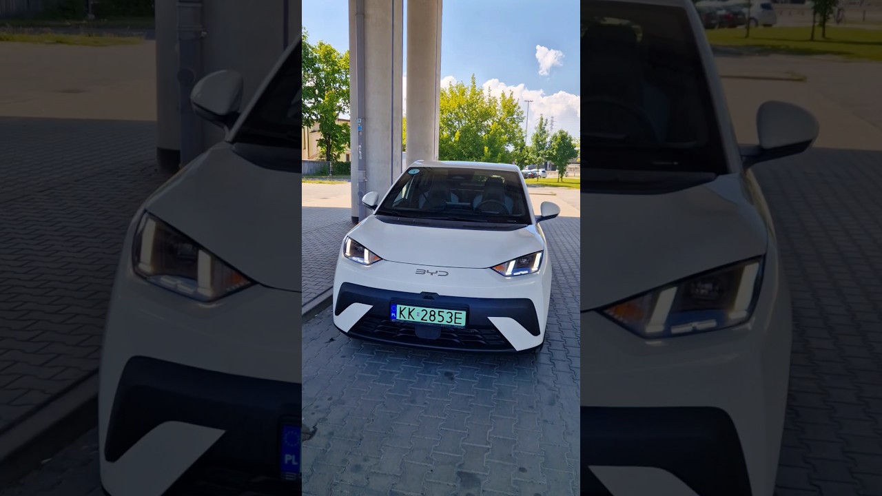 One thing that sets the BYD Dolphin Surf apart