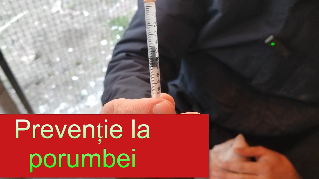 Vaccinarea anuala a tuturor porumbeilor