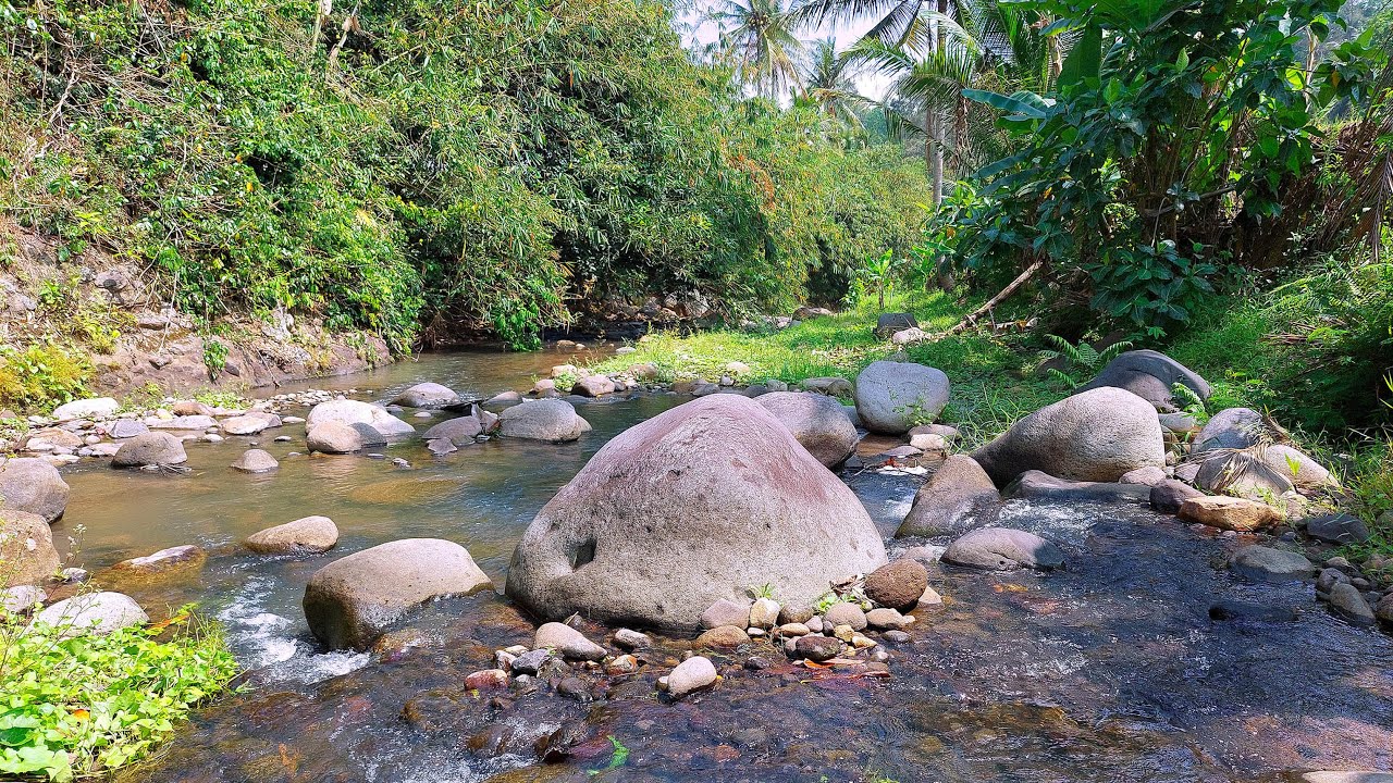 Calming Water Stream Sounds With Beautiful Views, Relaxing River Sounds For Relax, Sleep, Meditation