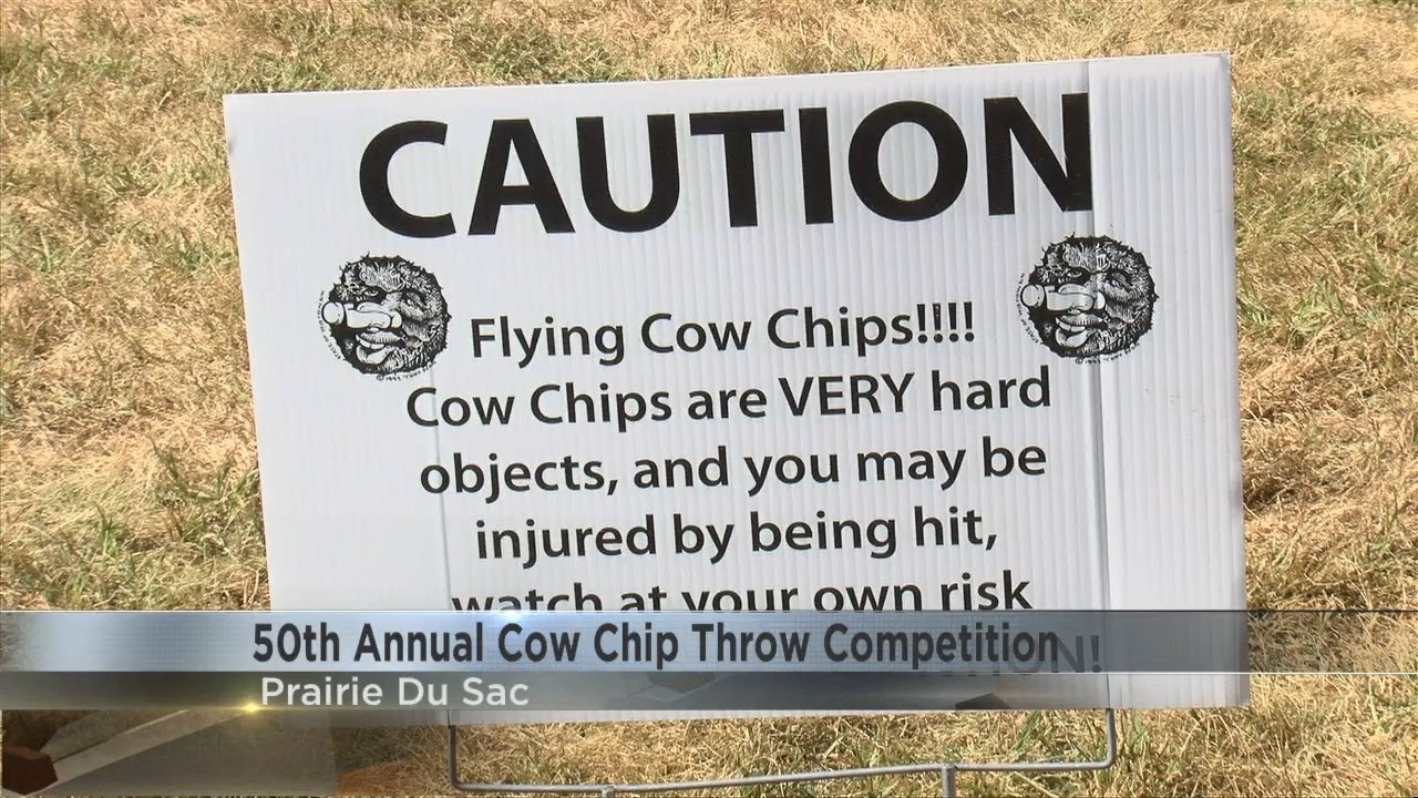Wisconsin Cow Chip Throw competition brings joy to community members