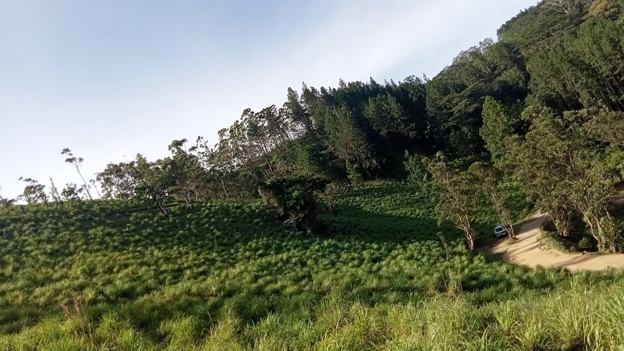 🛵 බෙල්වුඩ් ගිය ගමන | නූලෙන් නොවැටී බේරුණේ 😆 A trip to Bellwood by scooter || Rashmi Sharika