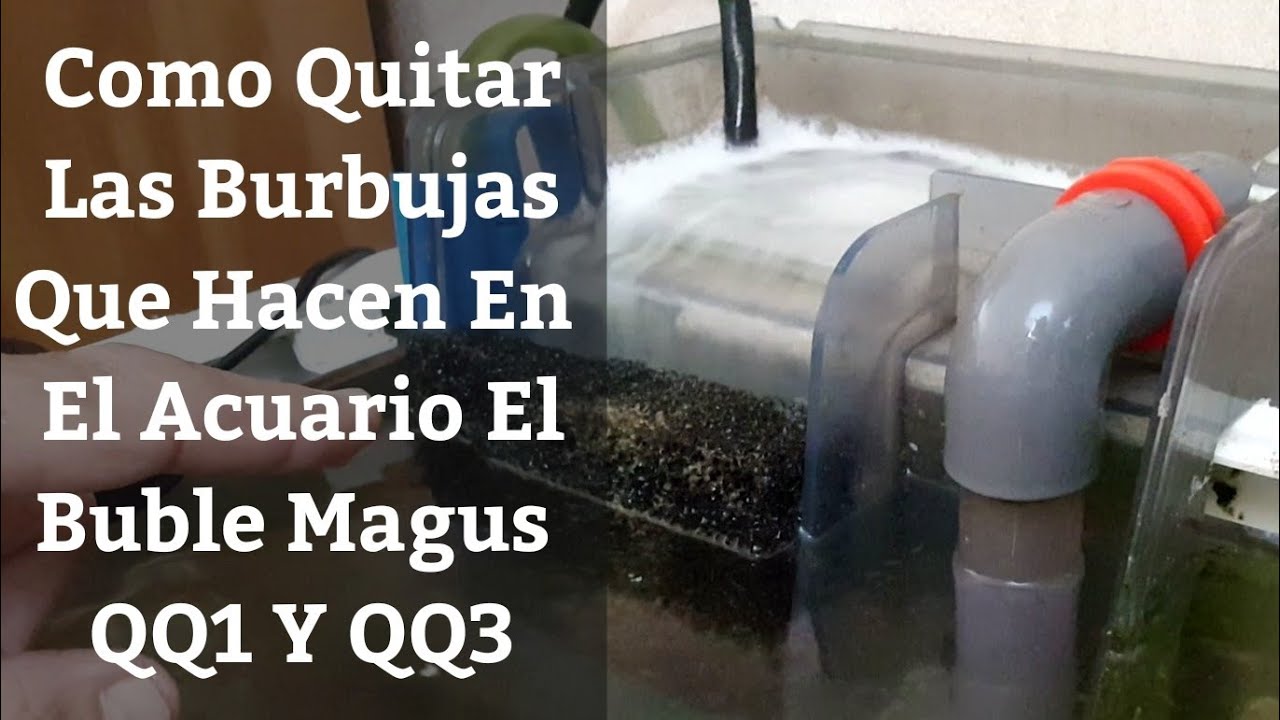 🔵 Como Quitar Las Burbujas Que Hace En El Acuario El Skimmer Buble Magus QQ3/QQ1 (Acuarios MB)