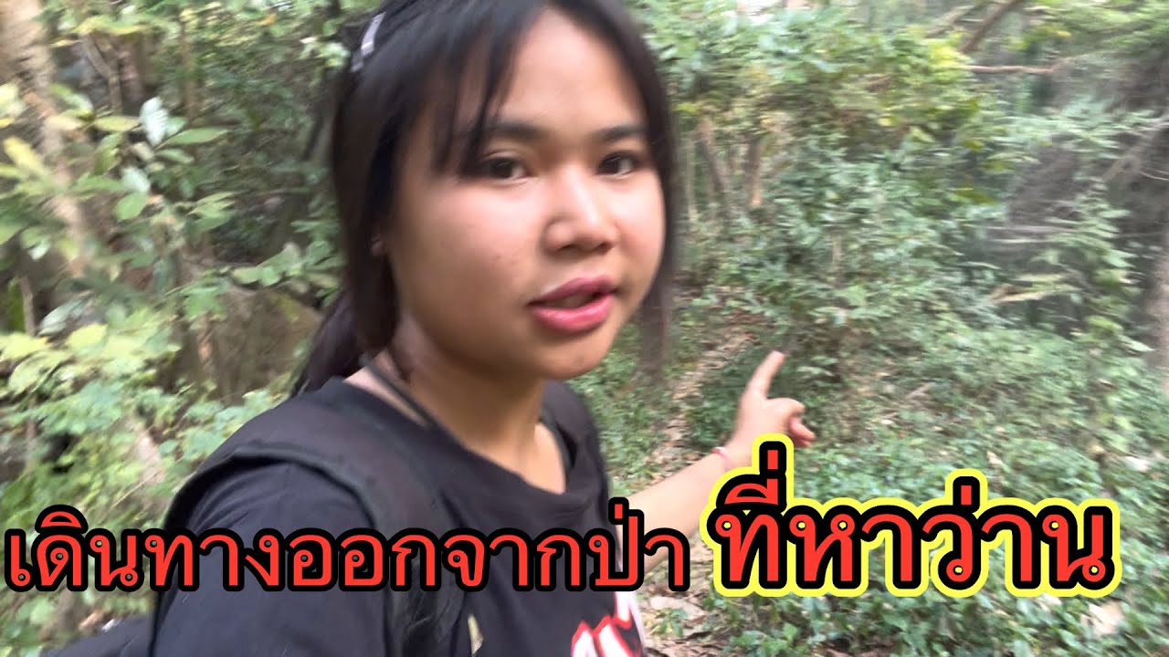 เดินทางออกจากป่าที่ไปหาว่าขันหมากเศรษฐี ￼