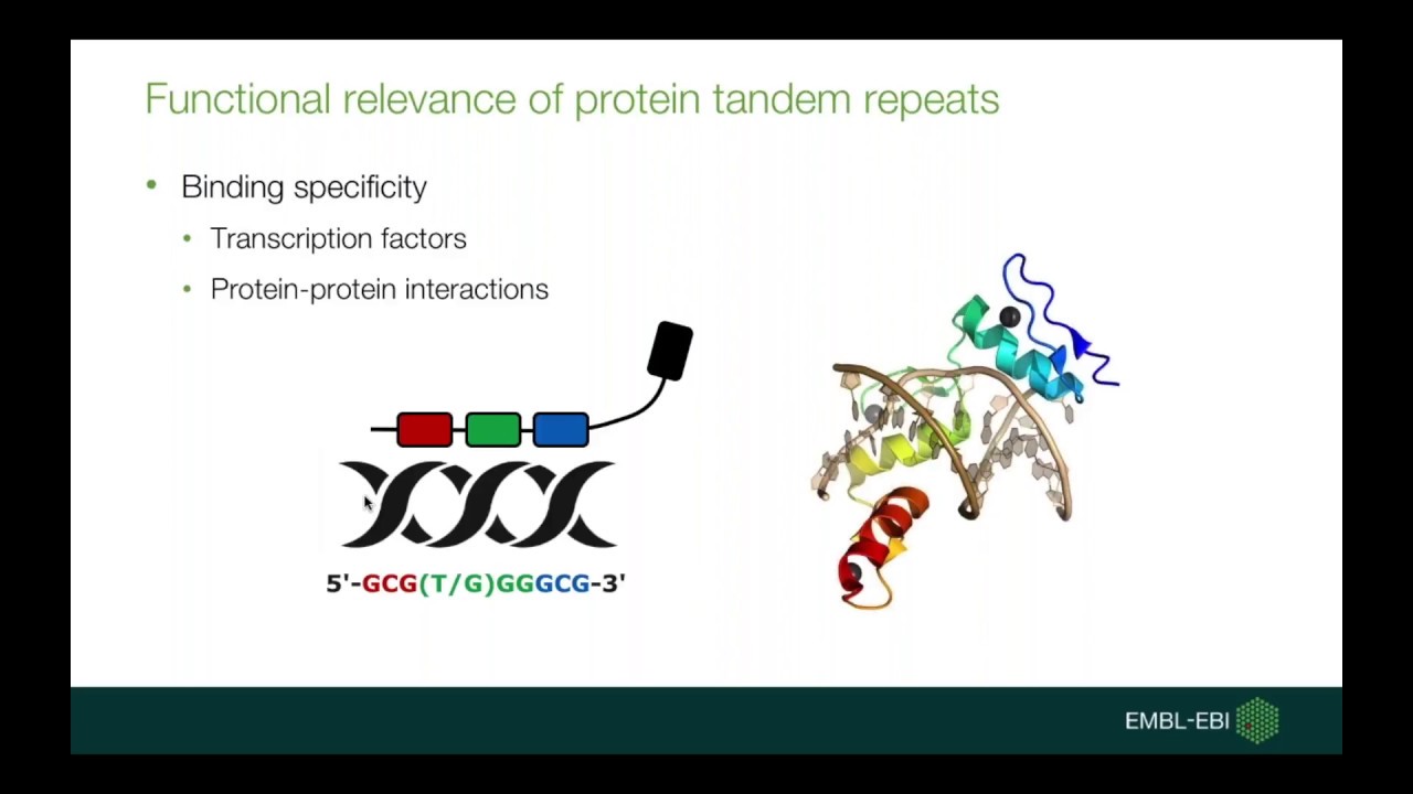 Detection and evolution of repetitive proteins