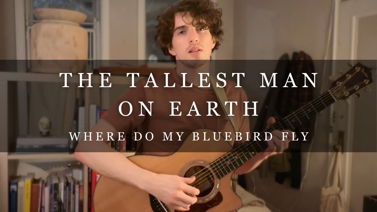 Where Do My Bluebird Fly by The Tallest Man on Earth | Cover a Week #9
