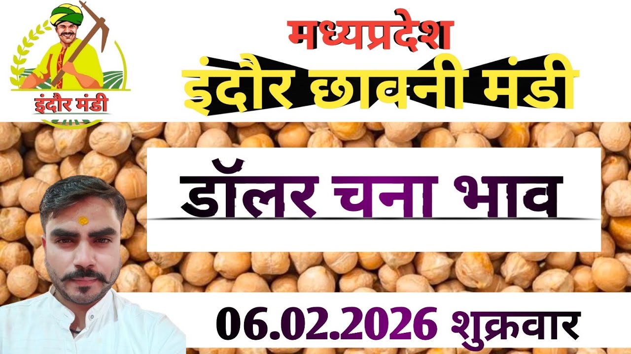 इंदौर छावनी मंडी में आज के डॉलर चने का भाव #indoremandi  #चना #chana #मंडी #indoremandibhav #yt