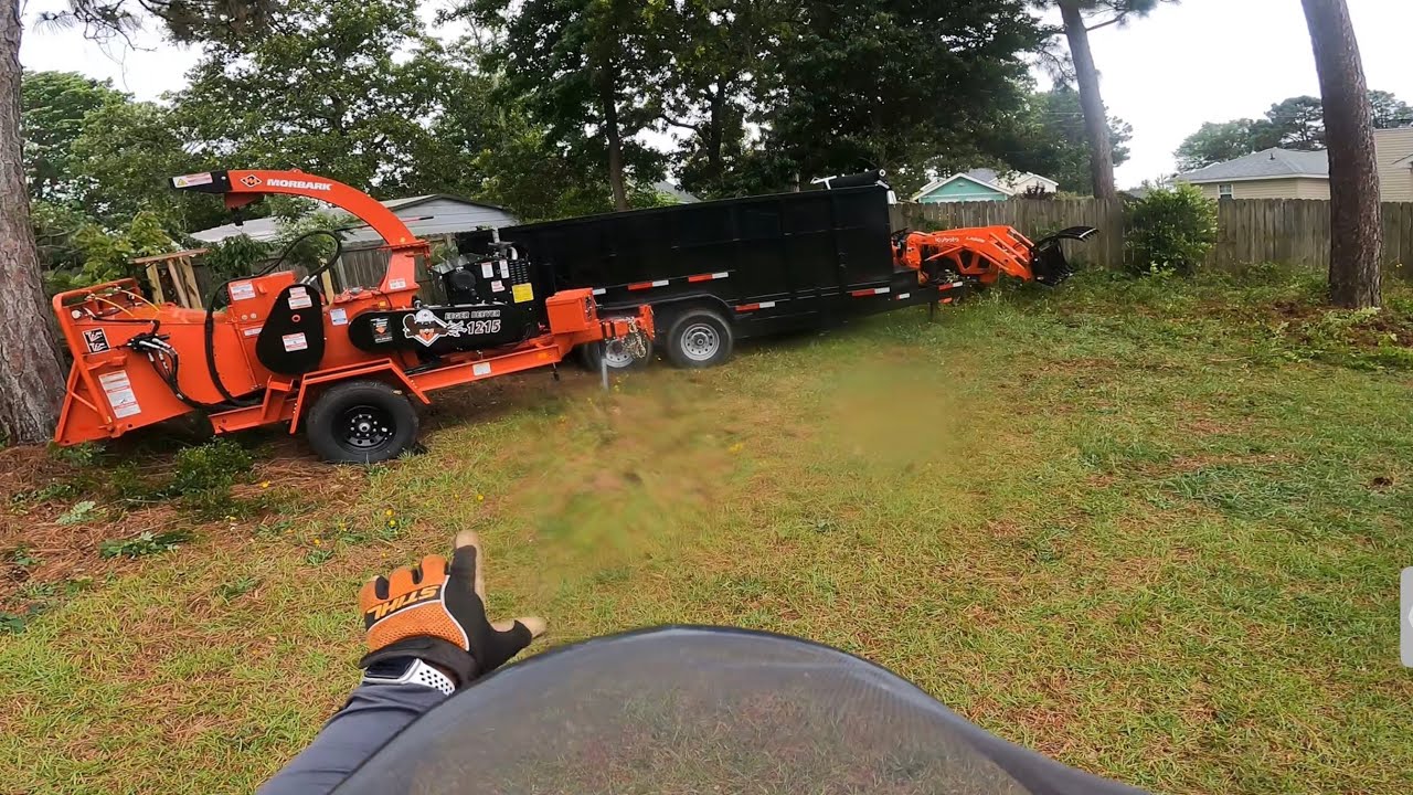 Removing Seven (7) Pine Trees/Backyard Makeover #ZML EHC Pressure Washing & Tree Removal