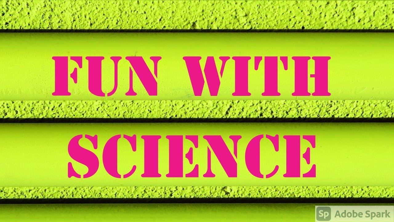 Fun With Science || Simple Science Experiments ||
