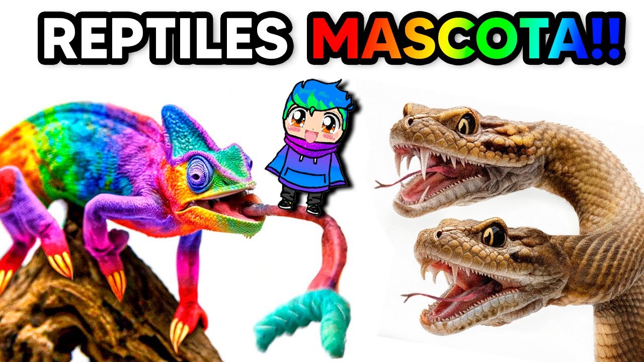 Consegui los REPTILES mas LOCOS como MASCOTA🐉🐍🐊/ Carlos Infinito REACCIONA TerraVerde