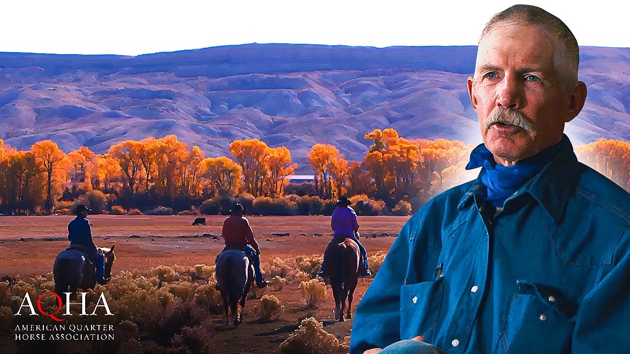 Wyoming Ranch Wins Top AQHA Honor!