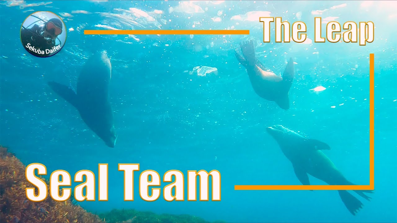 Seal Team | Scuba Diving at The Leap | Aug 2021