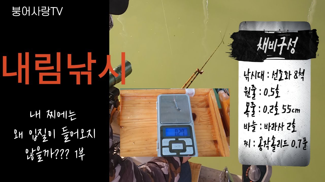 내림낚시 내 찌에는 왜 입질이 들어오지 않을까??? 1부.  (:혹한기 하우스 낚시방법.