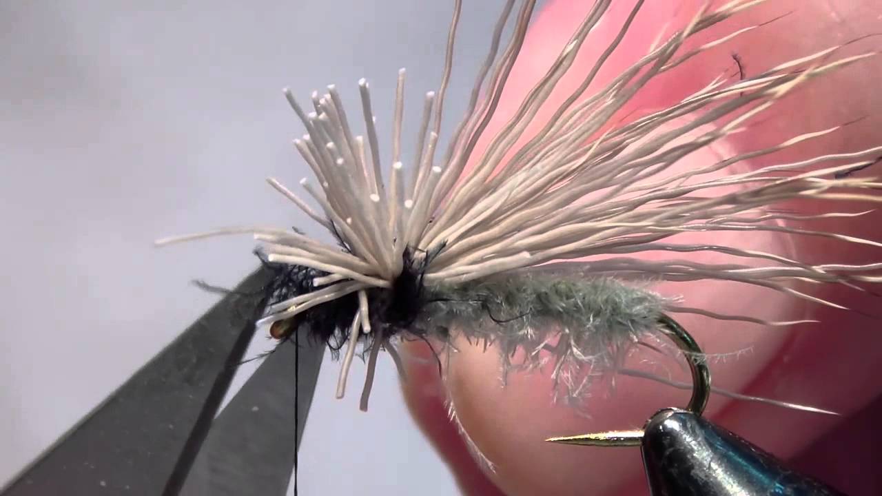 RF CDC Cone Sedge