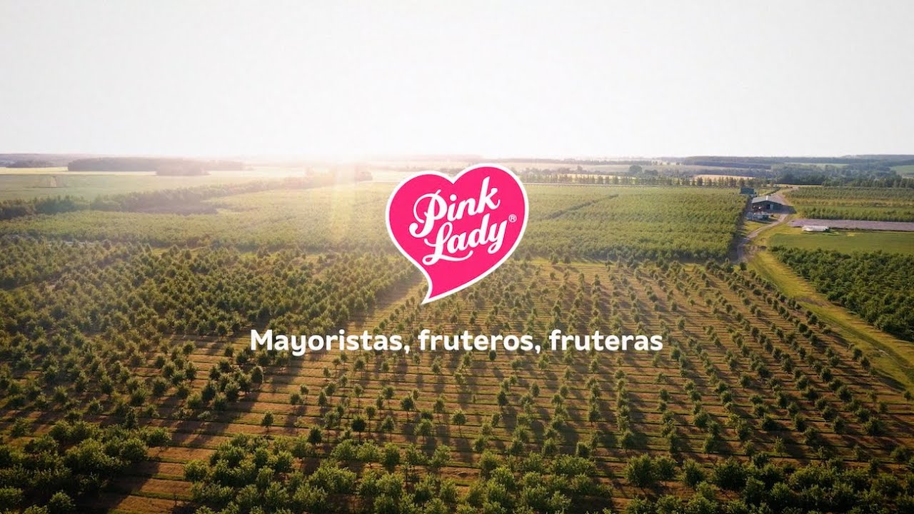 Mayoristas, fruteros, fruteras, ¡gracias! #somoscomunidadpinklady