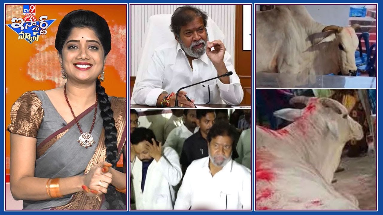 iSmart News : మనిషి లేడని తెలిసి ఈ మూగ జీవి ఏం చేసిందంటే..? | డాక్టర్ల మీద ఆరోగ్య మంత్రి గుస్సా -TV9