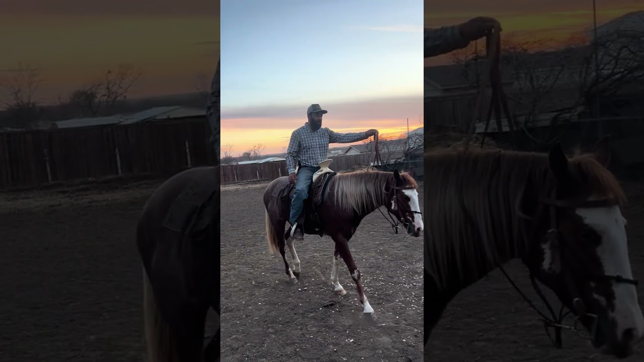 Atentos al próximo video de cómo dar picadero
