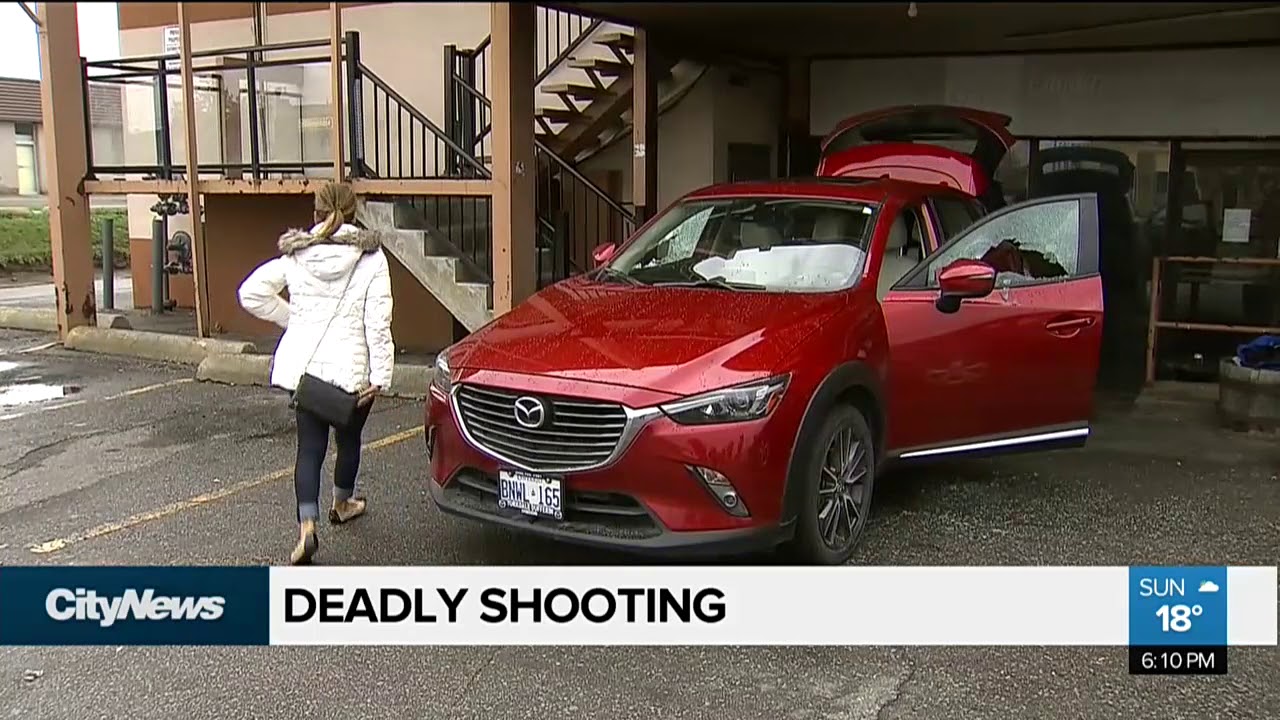 Marijuana dispensary manager killed in North York