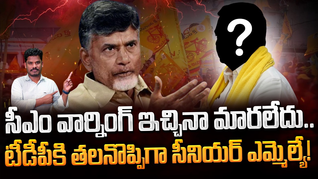 TDP Senior MLA issue: సీఎం వార్నింగ్ ఇచ్చినా మారలేదు.. టీడీపీకి తలనొప్పిగా సీనియర్ ఎమ్మెల్యే! AP 175