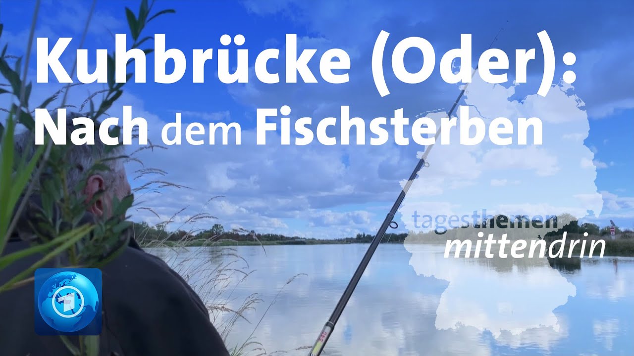 Zwei Monate nach dem Fischsterben in der Oder | tagesthemen mittendrin
