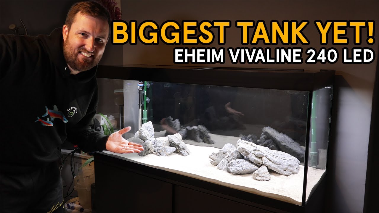 Building a Malawi Cichlid Aquarium - Unboxing & Setup!