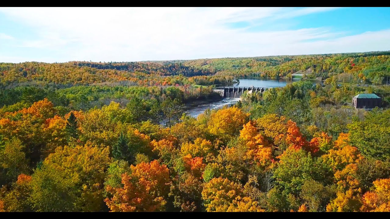 Fall Leaves in Duluth, MN - 4K UHD