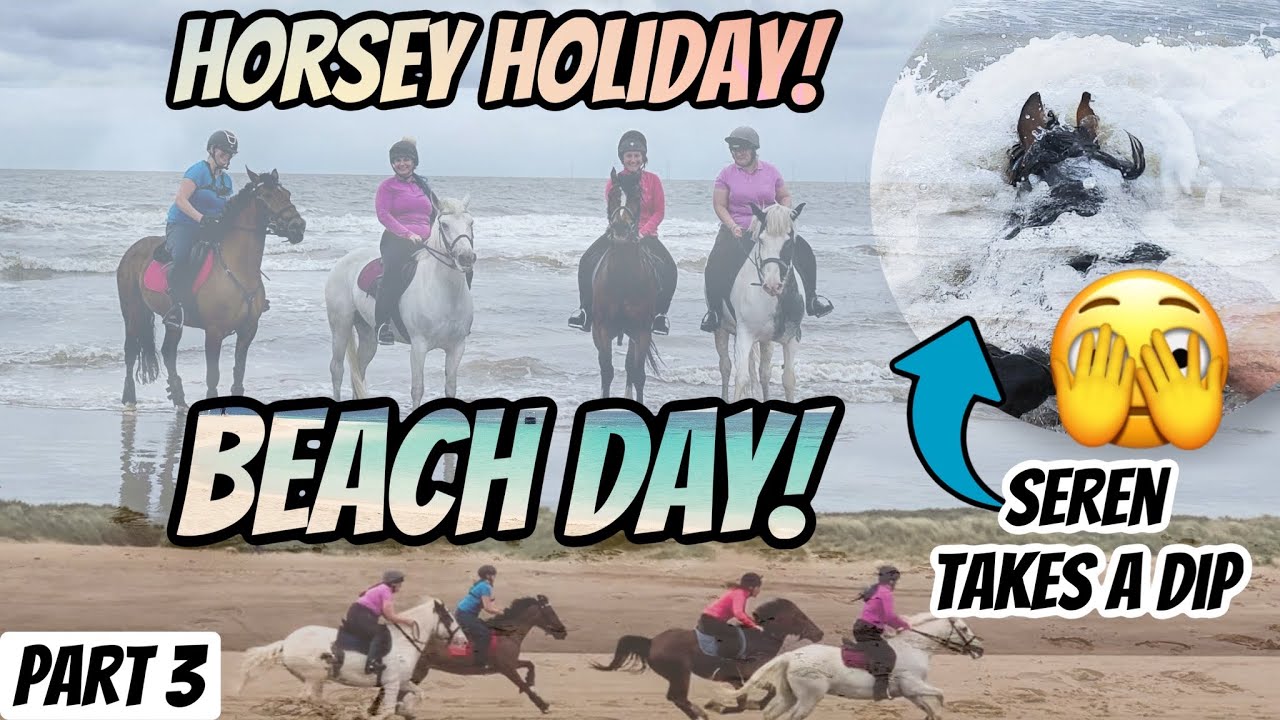 FIELD FARM HOLIDAY DAY 2| BEACH DAY!
