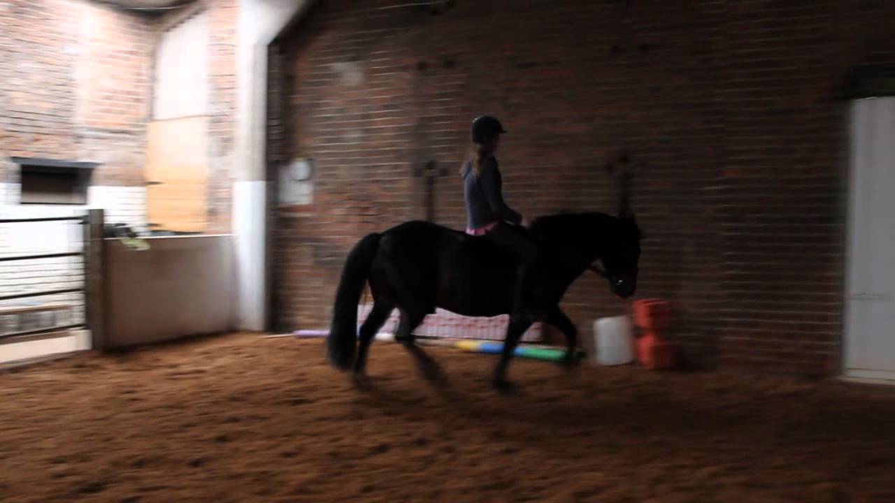 Sophie riding Chilli Bareback.