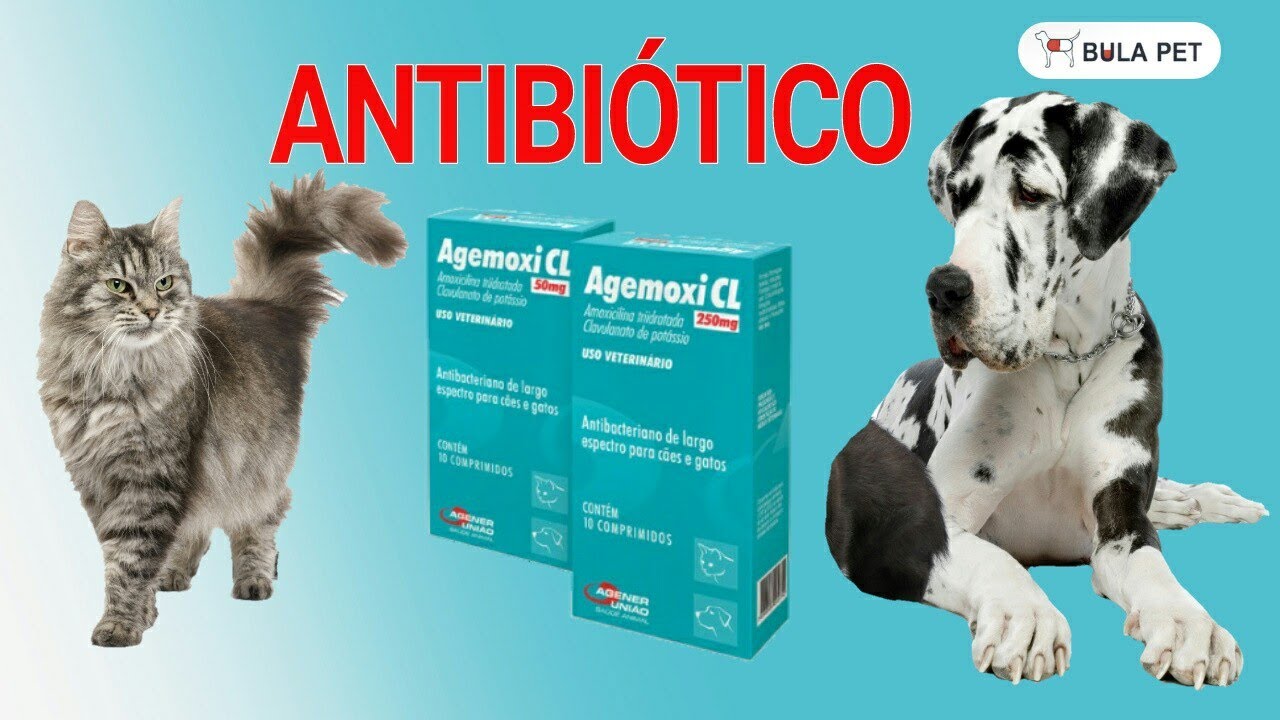 Para que serve o Agemoxi CL???