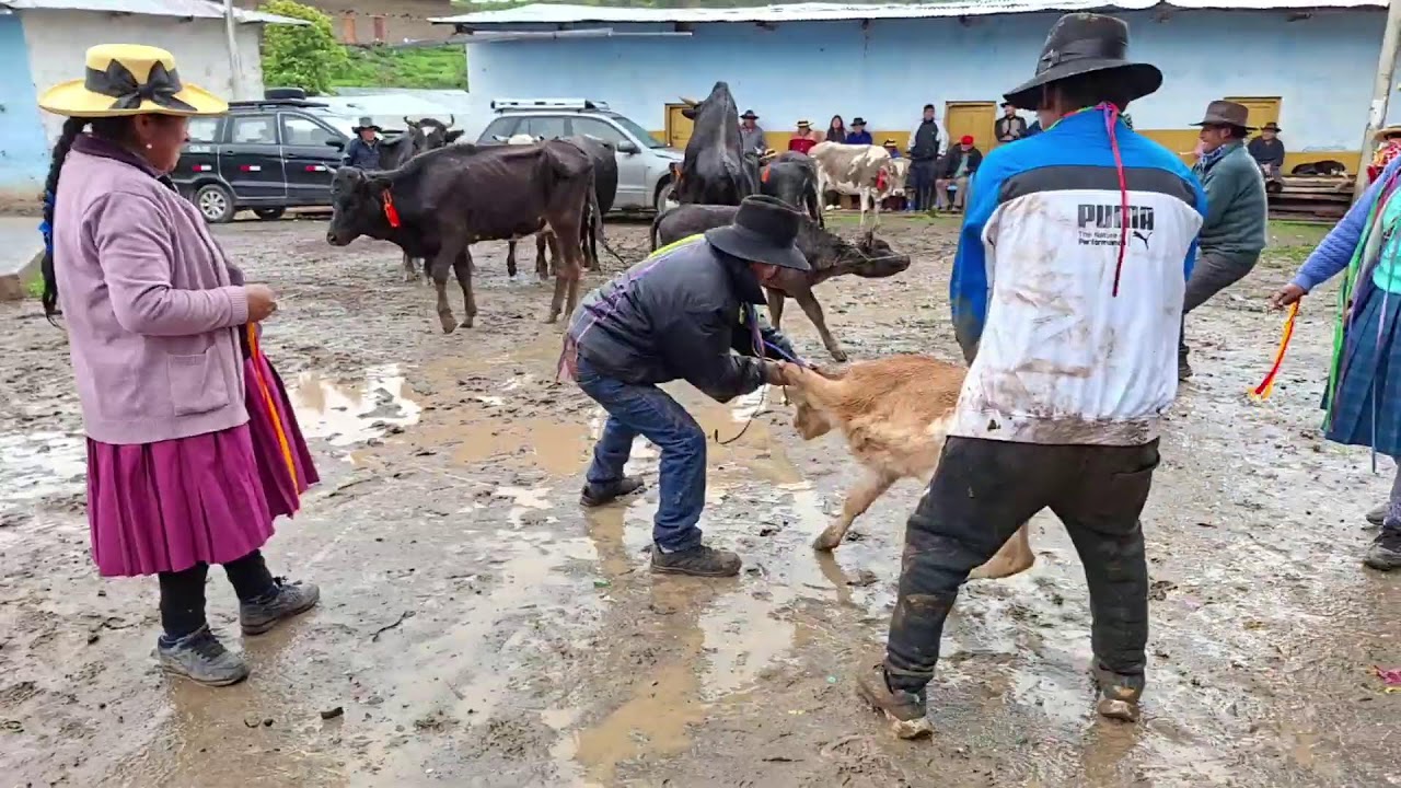 🔴 En VIVO desde UTCAS
🔰 Gran señalacuy C.C. UTCAS 2026