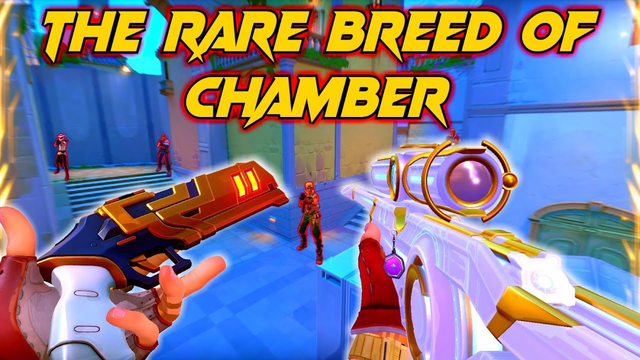 THIS IS WHAT THE RARE BREED OF CHAMBER MAIN LOOKS LIKE