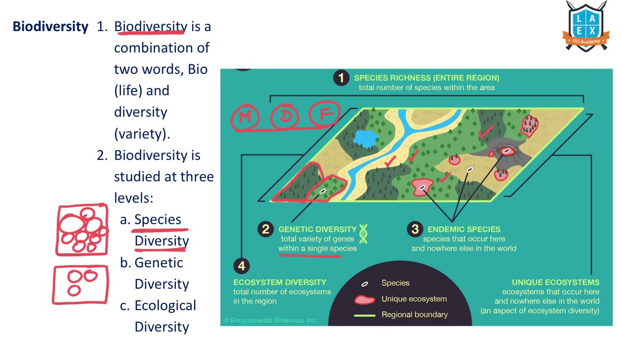 What is Biodiversity ? || Biodiversity అంటే ఏమిటి? || La Excellence
