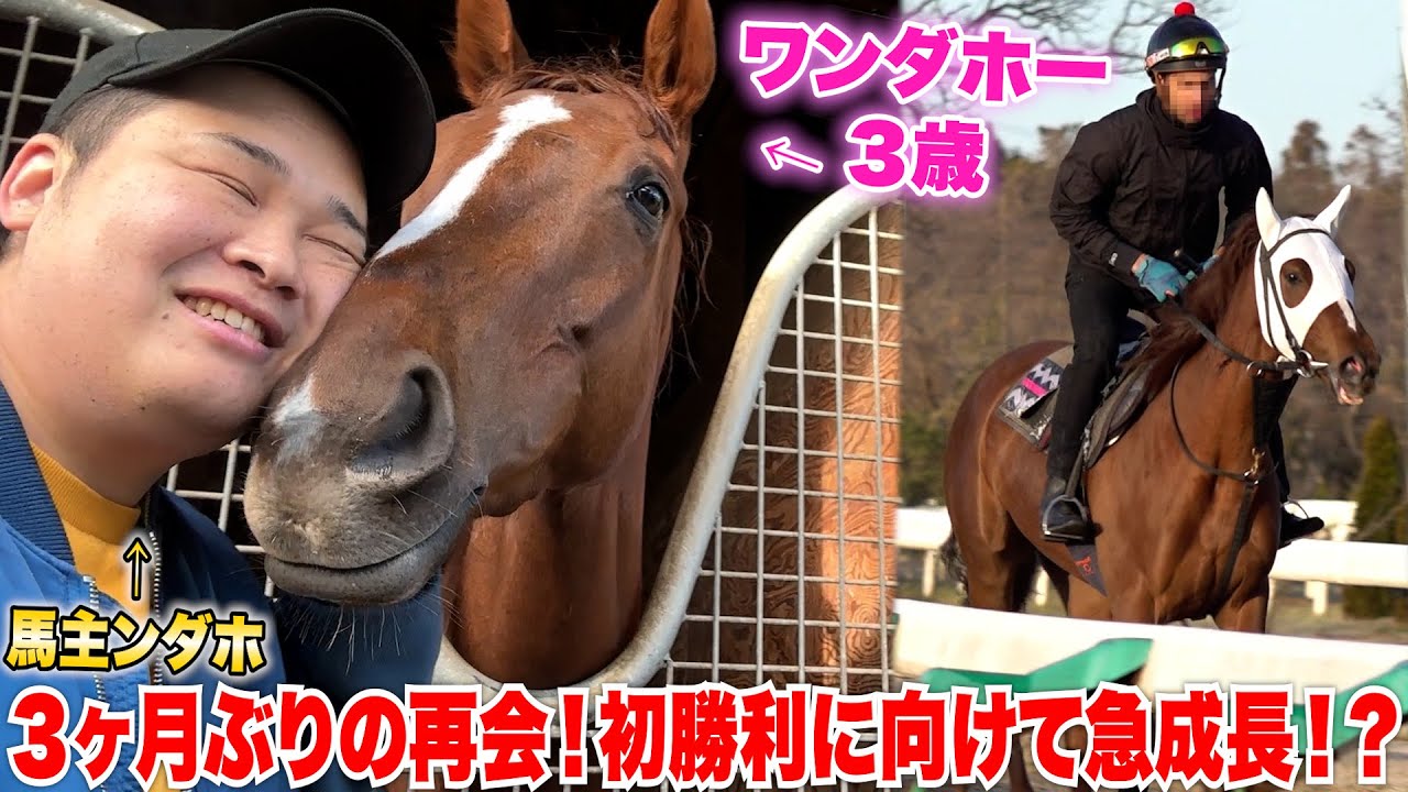 【調教密着】３ヶ月ぶりにワンダホーに会いに行ったら急成長と新発見で愛でいっぱいになった！！