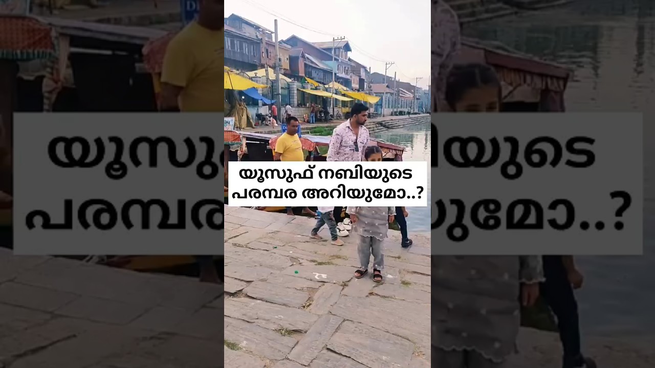 യൂസുഫ് നബിയുടെ പരമ്പര അറിയുമോ...? #madina #madicin #makkahmadina