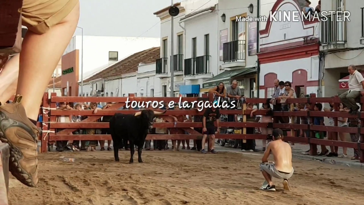 Largadas de touros em Benavente 2018