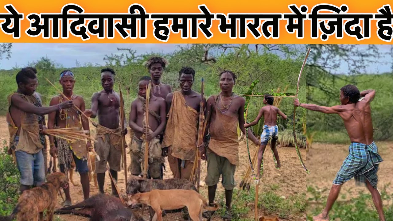 जंगलों में अकेली रहने वाली भुंझिया आदिवासी जनजाति || यहां से नही लोटा कोई जिंदा वापिस indian tribs
