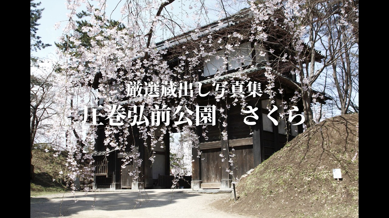 厳選蔵出し写真集  圧巻弘前公園　さくら