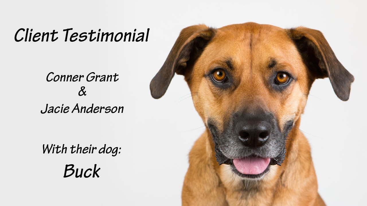 Client Testimonial - Buck | Follow The Leader Dog Training