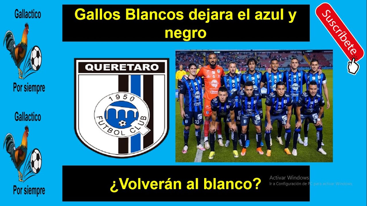 Gallos Blancos dejara el azul y negro ¿Volverán al blanco?