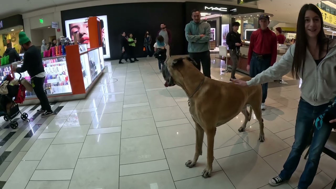 Cash 2.0 @ an Indoor Mall 2023 (3 of 4)