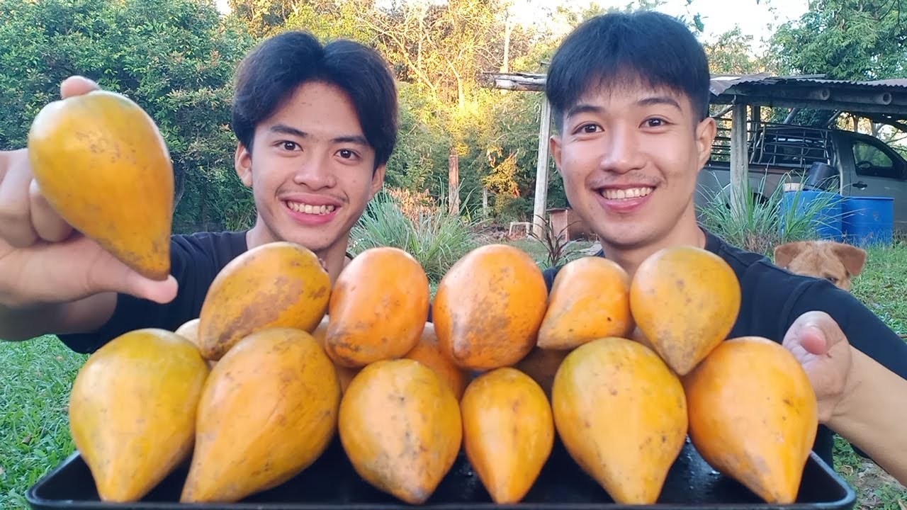 เชียนท้อ ผลไม้จากดอยม่อนแจ่ม หวานหอมมันอร่อยมากๆ