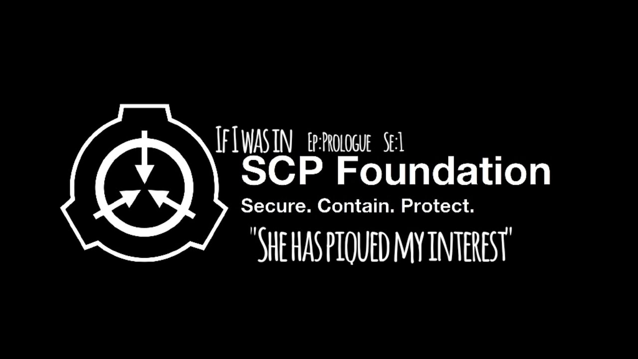 If I was in SCP Foundation | 