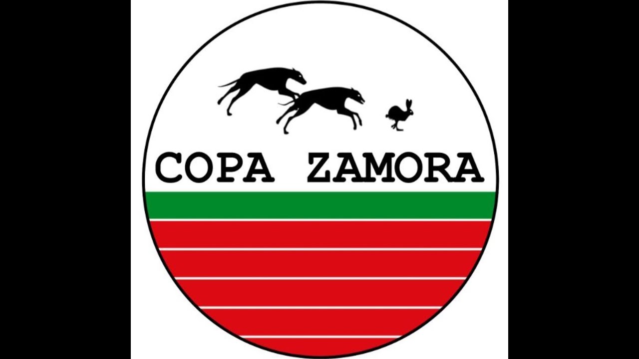 RESUMEN COPA ZAMORA DE GALGOS EN CAMPO 2023 2024 , 1º GRUPO DE OCTAVOS