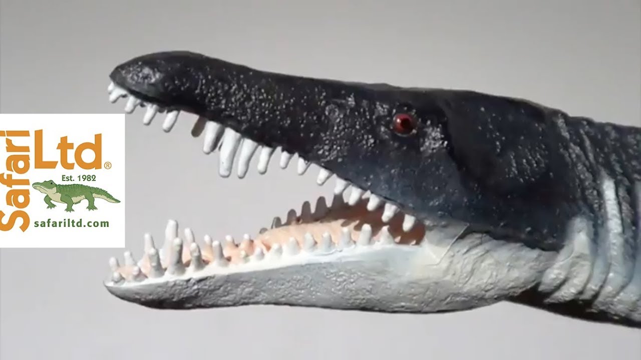 Safari Ltd. Liopleurodon Figure Review- Review For Adult Collectors by an Adult Collector