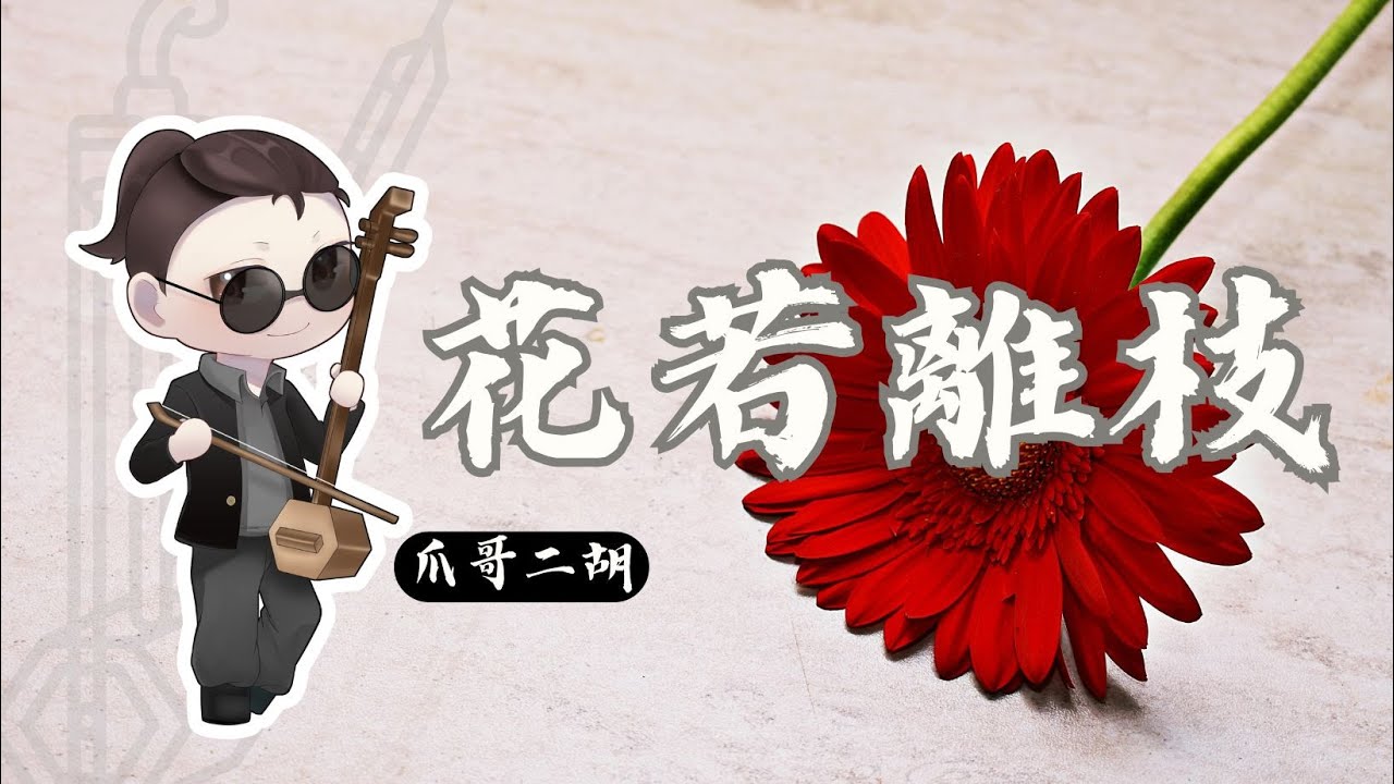 江蕙《花若離枝》｜爪哥二胡
