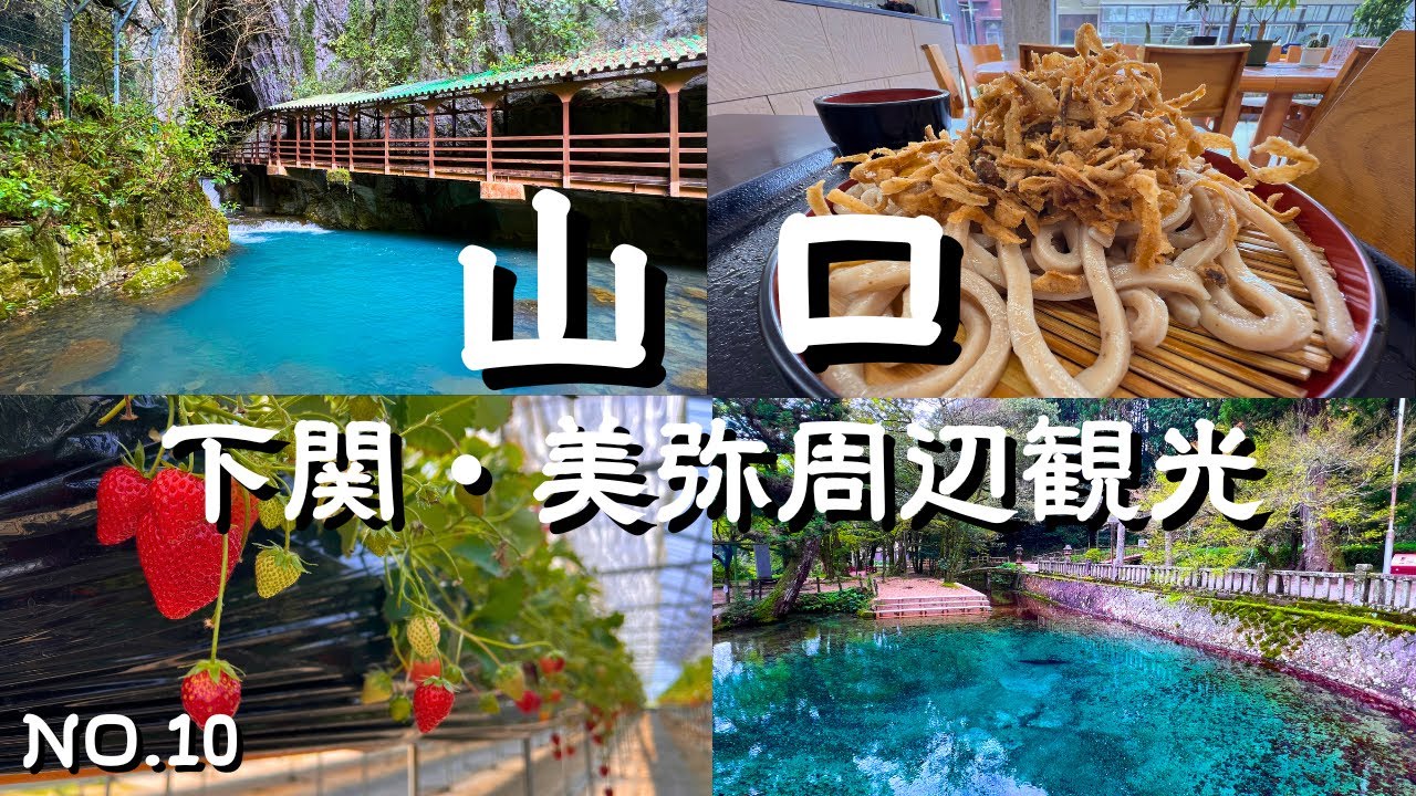 【山口観光】秘境か&絶景&グルメ！下関市・山陽小野田市・美祢市　火の山公園・花の海・秋芳洞・安富屋・秋芳洞商店街・秋吉台カルスト展望台・別府弁天池・一の俣桜公園・蒼霧鯉池