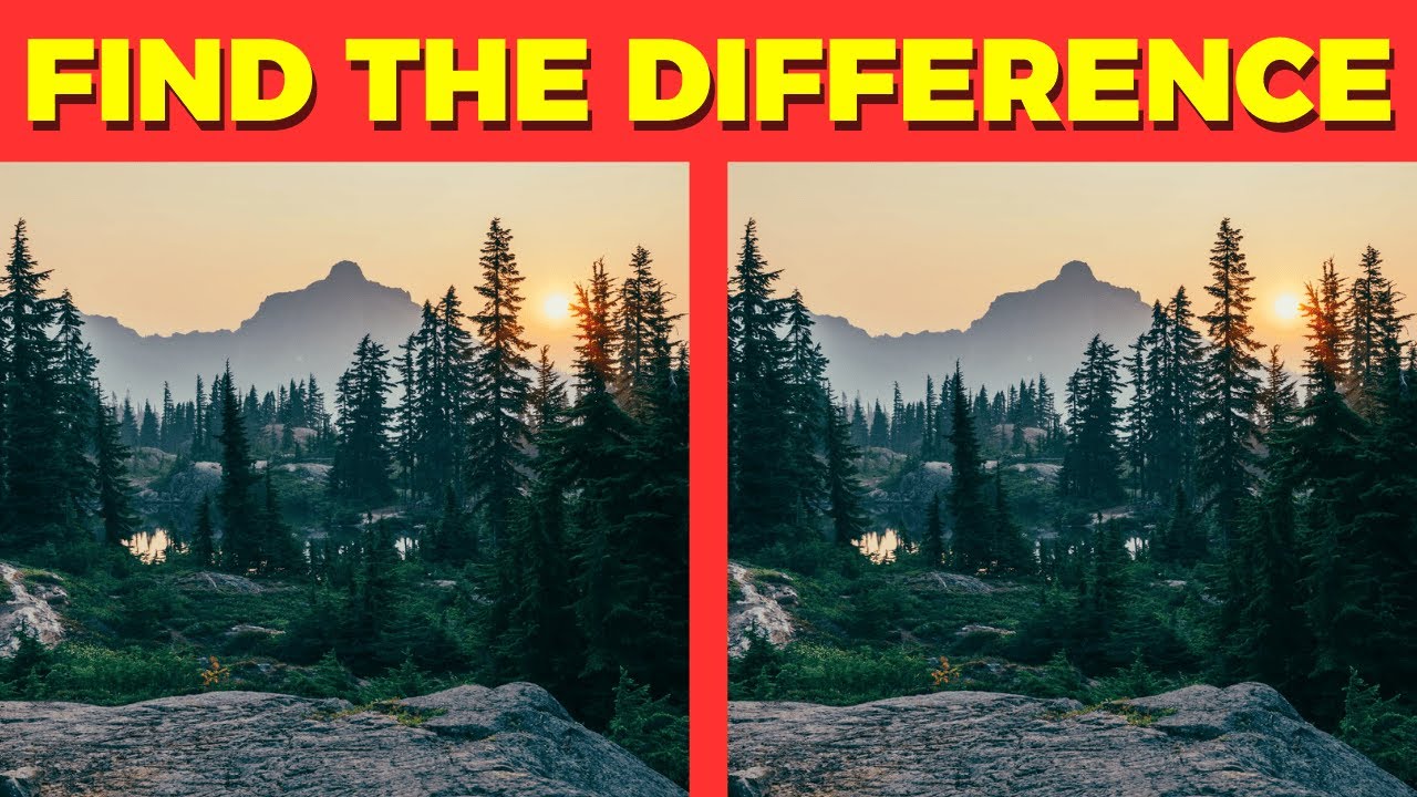 Forest Find the Difference: Only 1% Can Spot the Hidden Animal! [99% FAIL] 🌲🦌